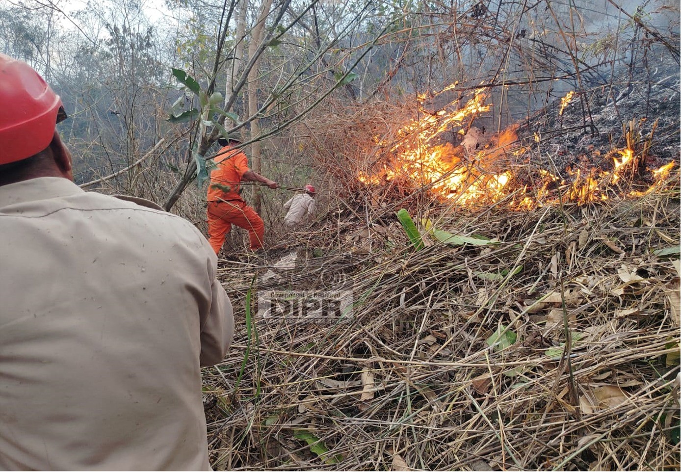 WILDFIRE OUTBREAK AT KIPHIRE