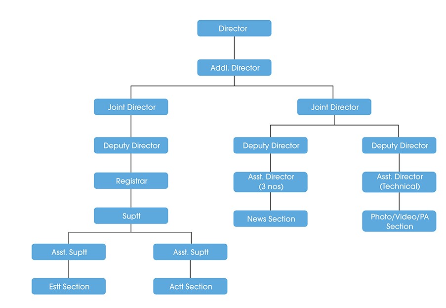 organogram