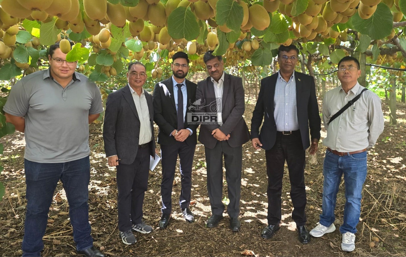 INDIA DELEGATION VISITS NEW ZEALAND TO STRENGTHEN COOPERATION IN KIWIFRUIT DEVELOPMENT
