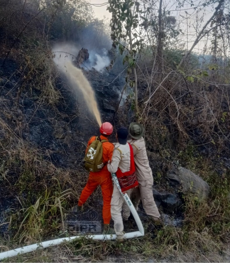 JUNGLE FIRE BROKE OUT AT NOKLAK VILLAGE
