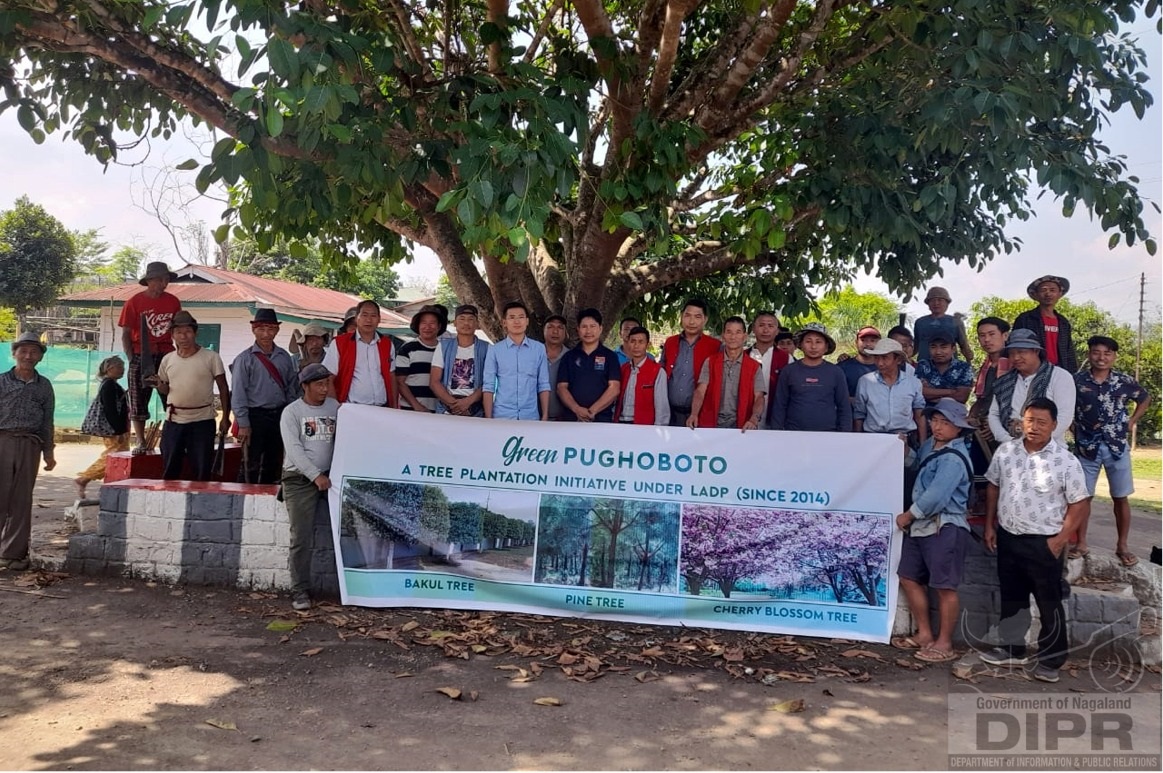 TREE PLANTATION HELD IN GHATHASHI