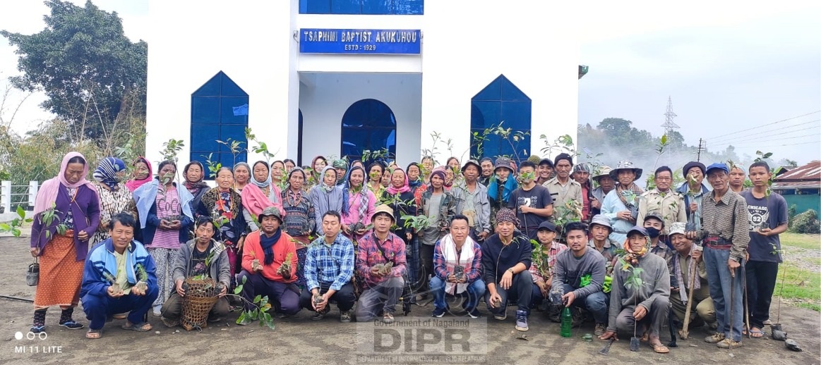 TREE PLANTATION HELD AT TSAPHIMI VILLAGE