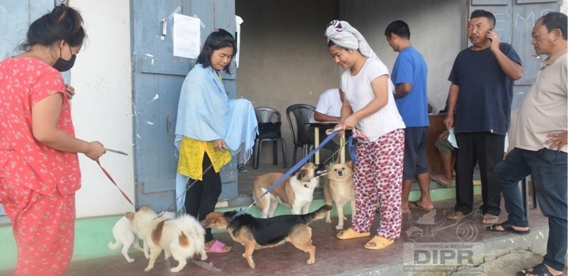 Mass Dog vaccination programme at Mokokchung