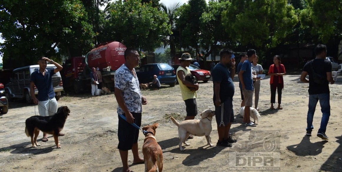 WORLD RABIES DAY OBSERVED AT CHUMOUKEDIMA