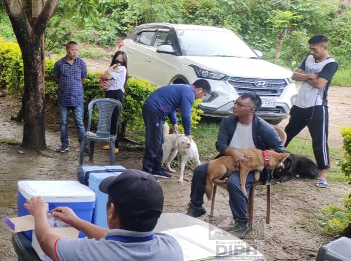 WORLD RABIES DAY OBSERVED AT KIPHIRE