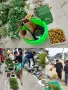 DISTRIBUTION OF BAMBOO CULM SHEATH WRAPPING BOXES AT PHEK