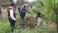 PUGHOBOTO TREE PLANTATION LAUNCHED