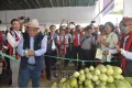 CUCUMBER FESTIVAL INAUGURATED AT ALIBA VILLAGE