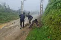 Mass social work at Shamator