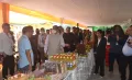 NATURALLY NAGALAND : MARKETING NAGALAND’S GREATEST ASSET