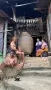 Winning entry by Rajkumar Joyshankar Singh