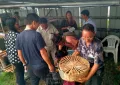 Distribution of kuroiler chicks and feeds on World Rabies Day at Peren