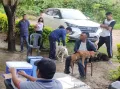 WORLD RABIES DAY OBSERVED AT KIPHIRE