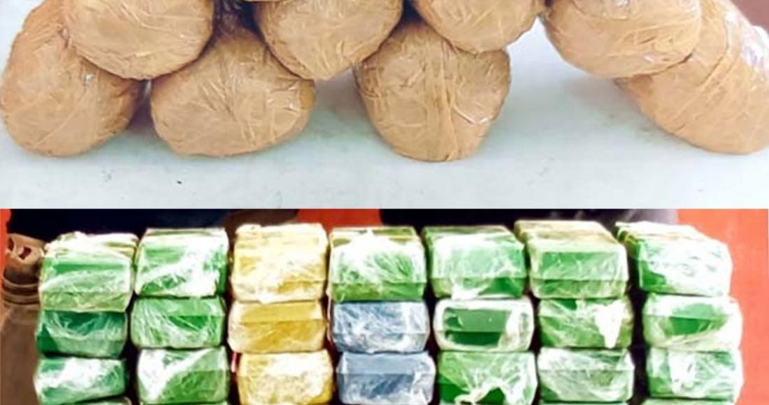 NAGALAND POLICE INTENSIFYING ANTI - DRUG DRIVES
